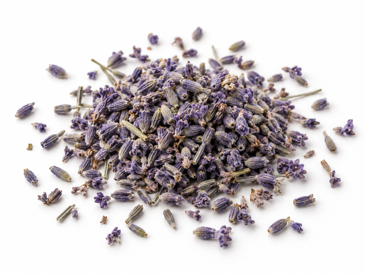 Loose Lavender Flower