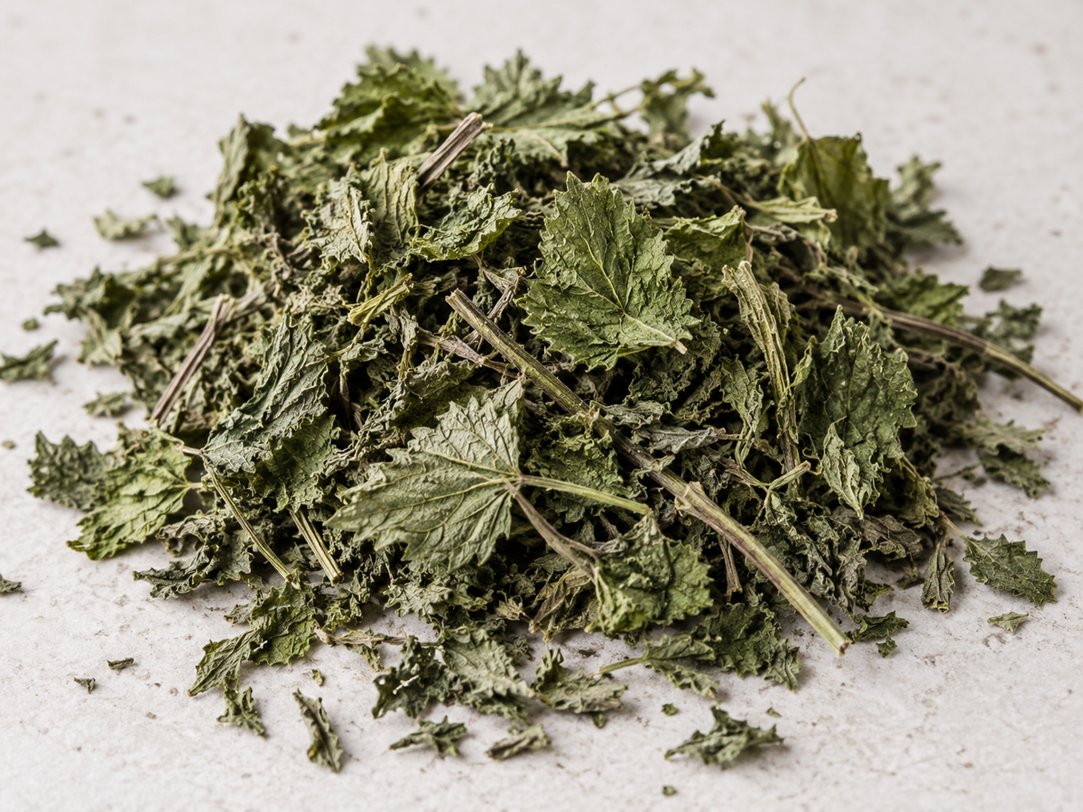 Loose Nettle